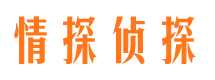 冷湖市调查公司